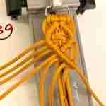Paracord Halsband, Anleitung Schritt für Schritt