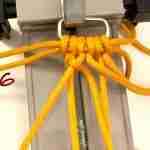 Paracord Halsband, Anleitung Schritt für Schritt